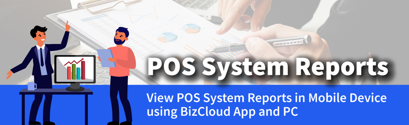 POS System Reports